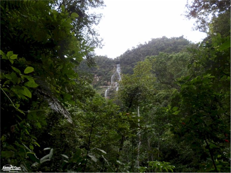 Tarapoto - Catarata de Ahuashiyacu