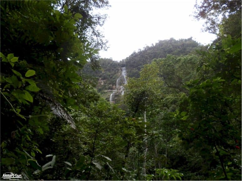 Tarapoto - Catarata de Ahuashiyacu