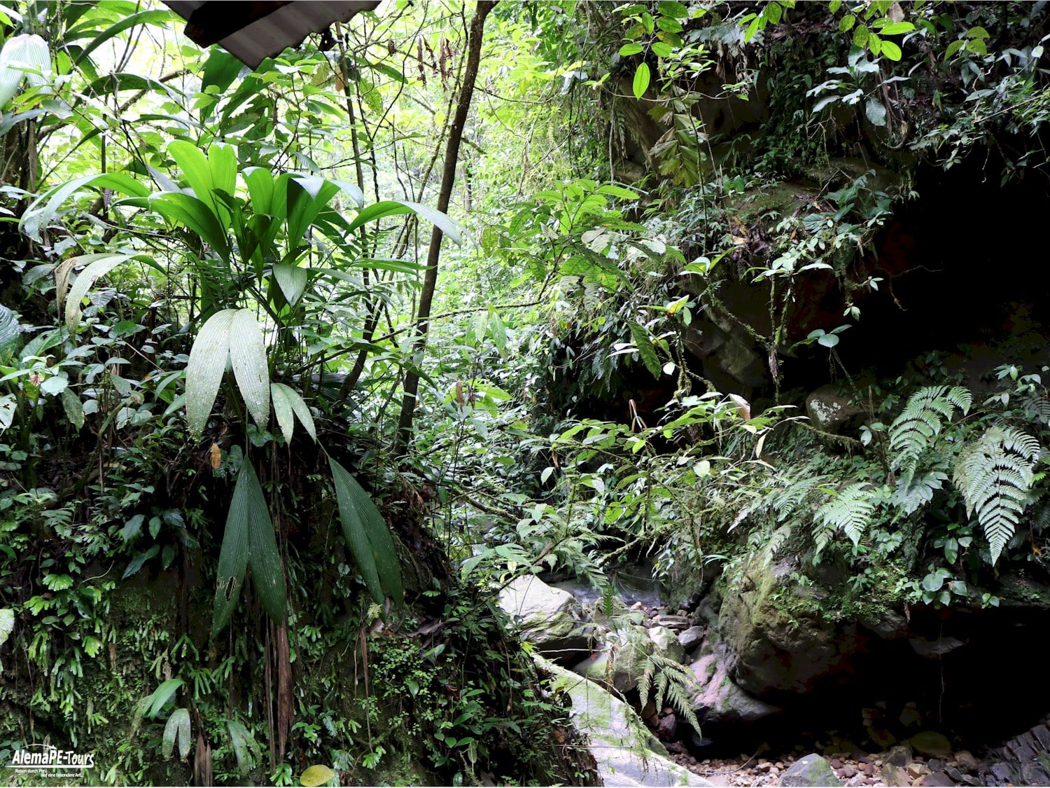 Tarapoto - Catarata de Ahuashiyacu