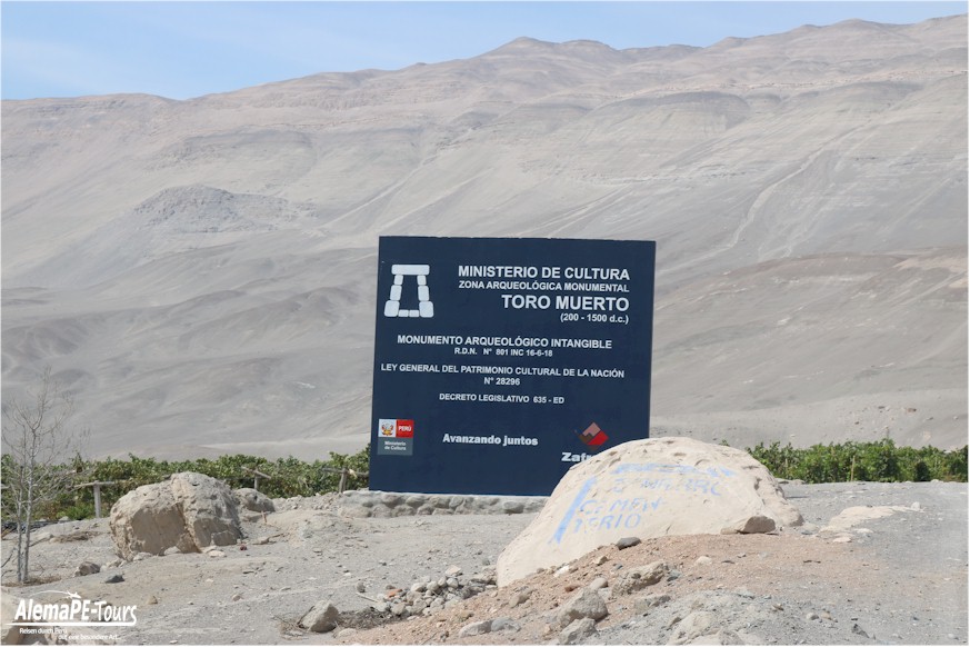 Corire - Toro Muerto