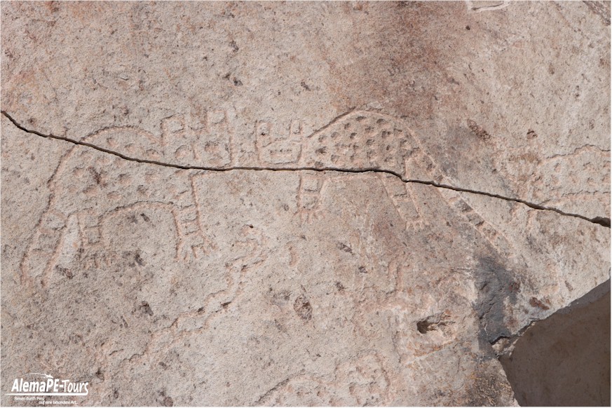 Corire - Toro Muerto