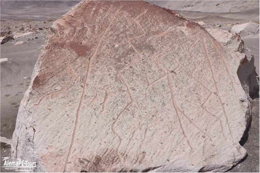 Corire - Toro Muerto