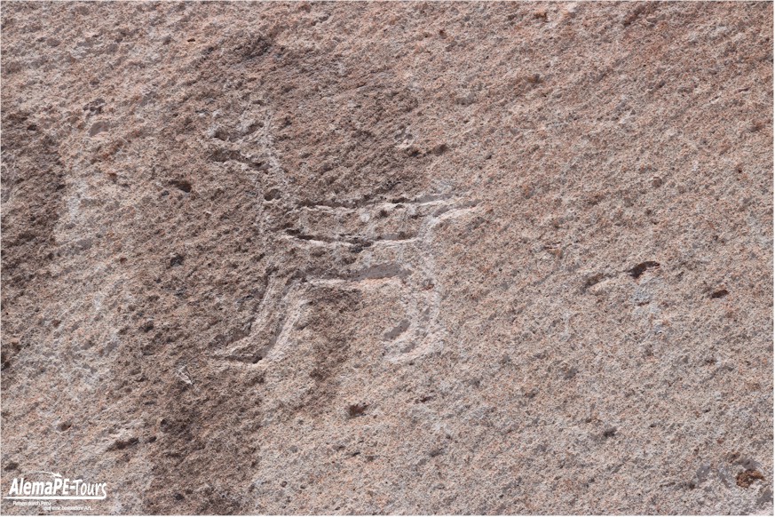 Corire - Toro Muerto