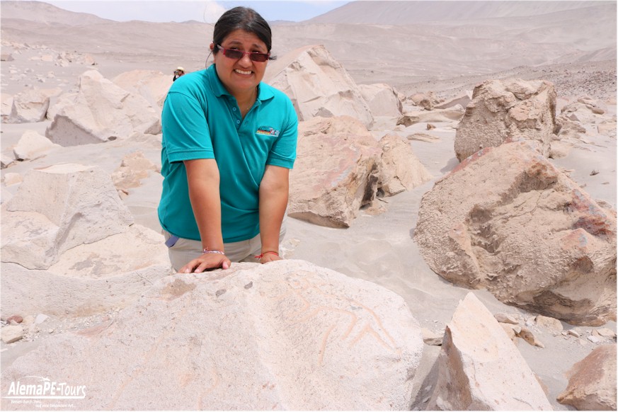 Corire - Toro Muerto