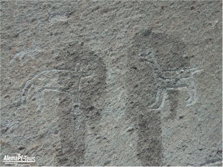 Corire - Toro Muerto