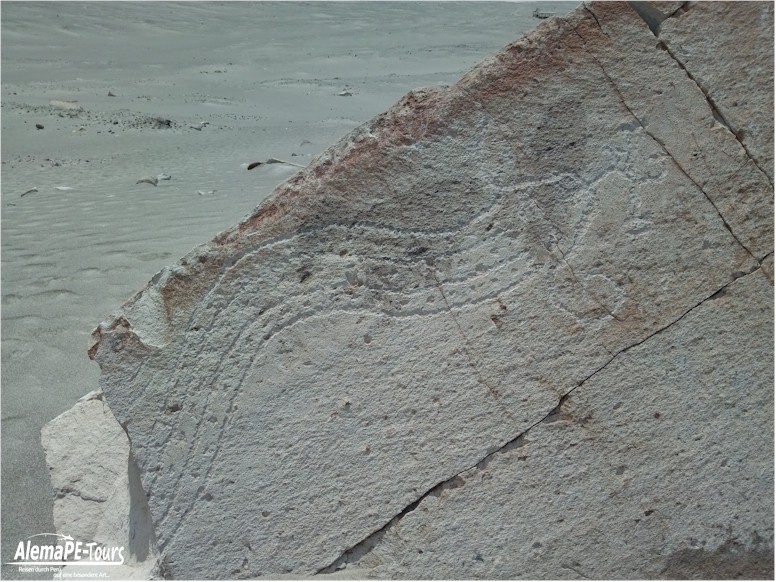 Corire - Toro Muerto