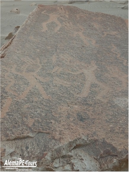 Corire - Toro Muerto