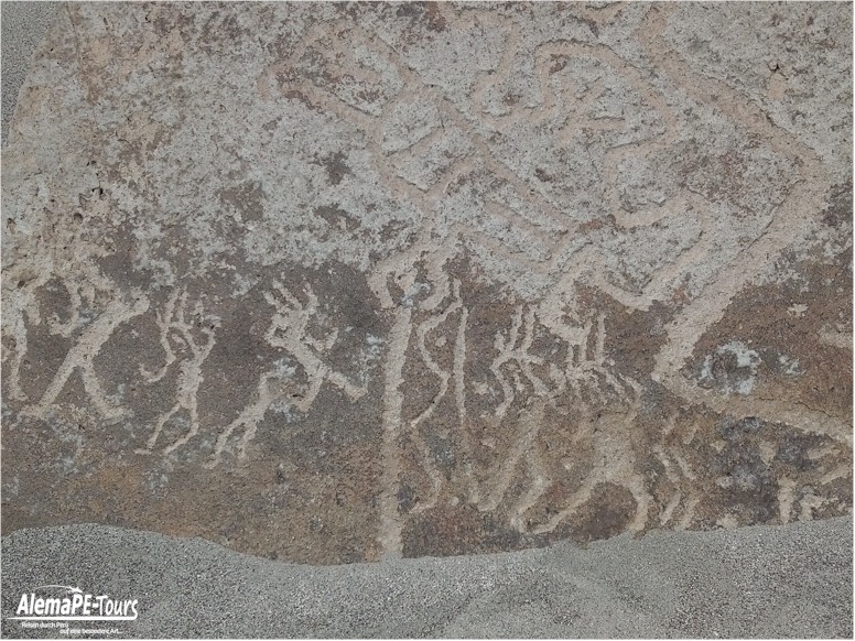 Corire - Toro Muerto